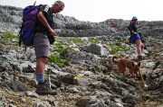 25 incrociamo un bell'esemplare di cane...